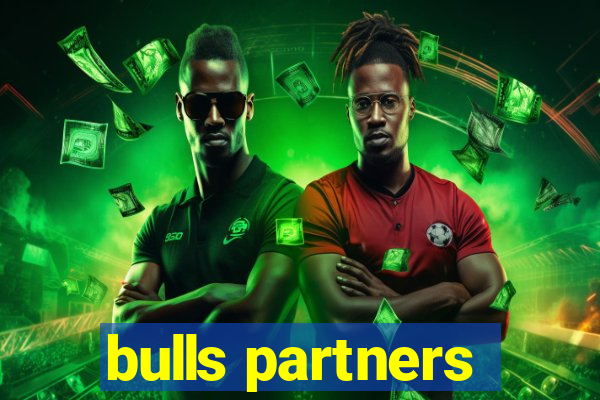 bulls partners