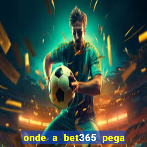 onde a bet365 pega as estatisticas