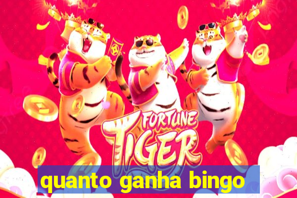 quanto ganha bingo