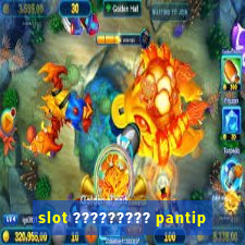 slot ????????? pantip