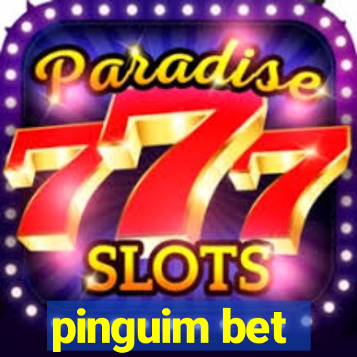 pinguim bet