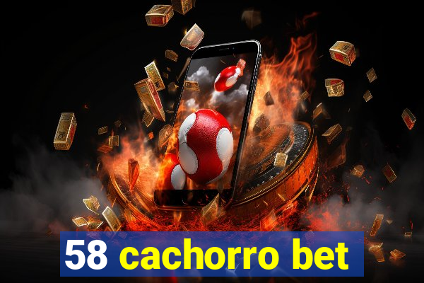 58 cachorro bet