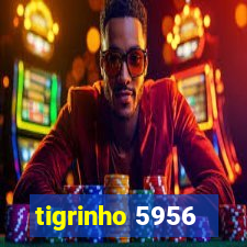 tigrinho 5956