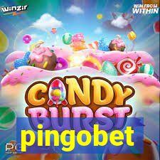 pingobet