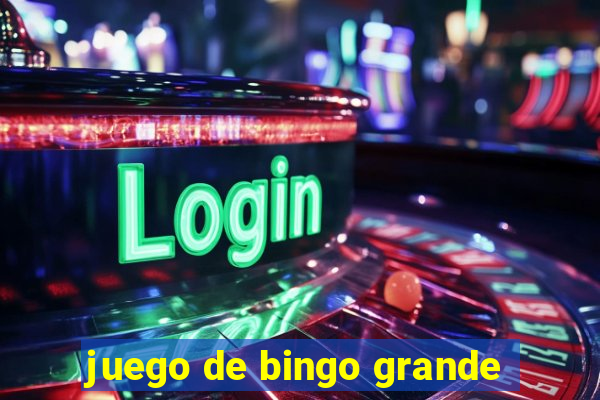 juego de bingo grande