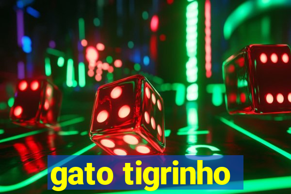 gato tigrinho