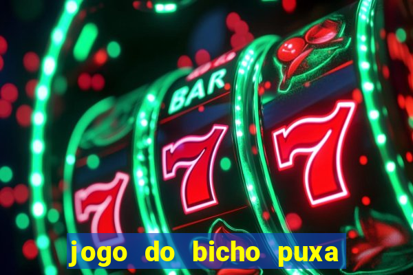 jogo do bicho puxa de dona maria