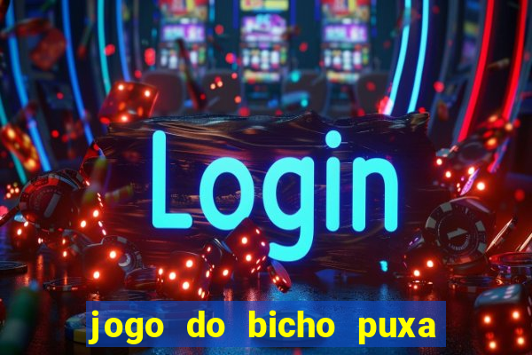 jogo do bicho puxa de dona maria