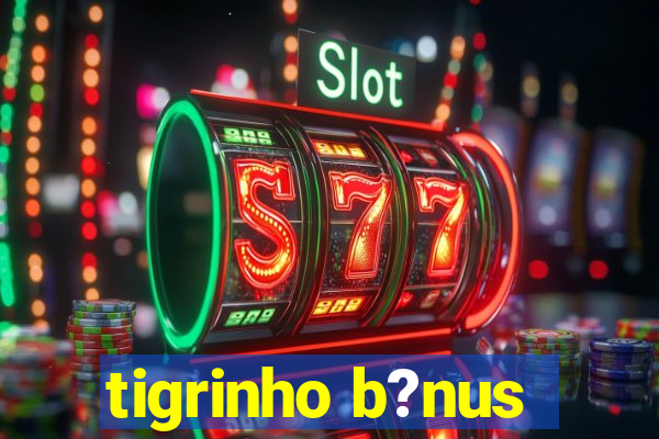 tigrinho b?nus