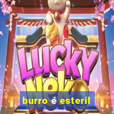 burro é esteril