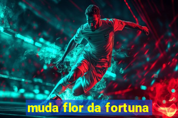 muda flor da fortuna