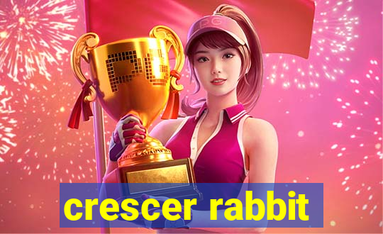 crescer rabbit