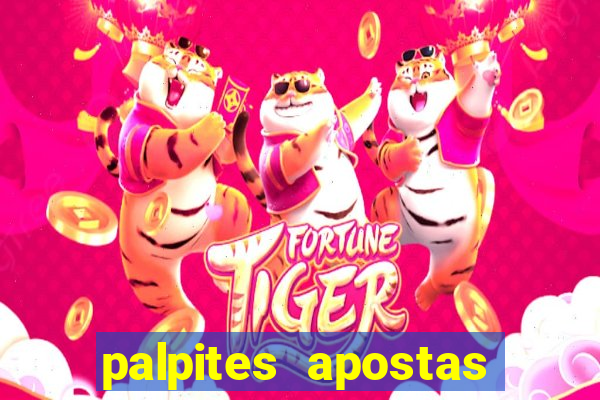 palpites apostas jogos de hoje