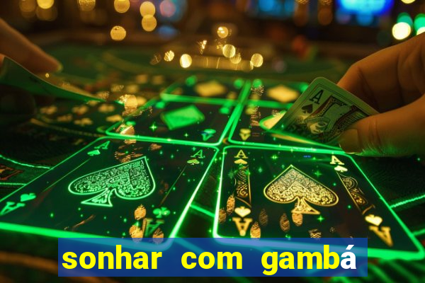 sonhar com gambá jogo do bicho