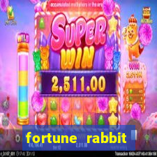 fortune rabbit ganhos