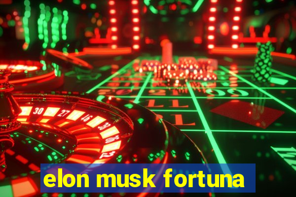 elon musk fortuna