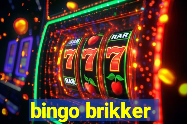 bingo brikker