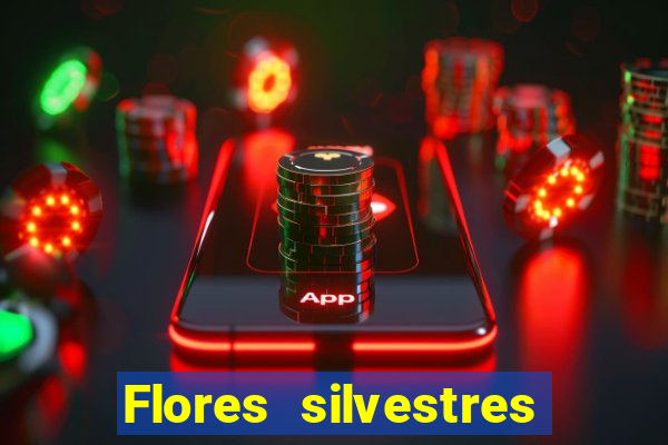 Flores silvestres brasileiras brasileiras flores silvestres nomes e imagens