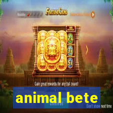 animal bete