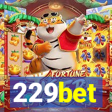 229bet