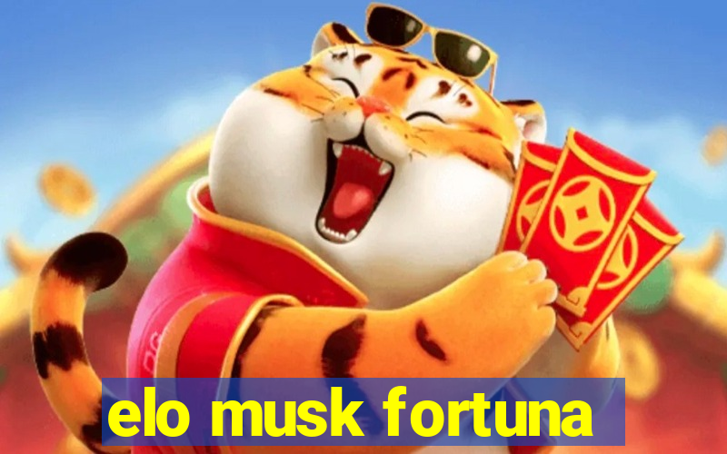 elo musk fortuna