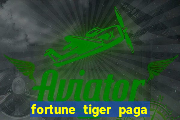 fortune tiger paga que horas