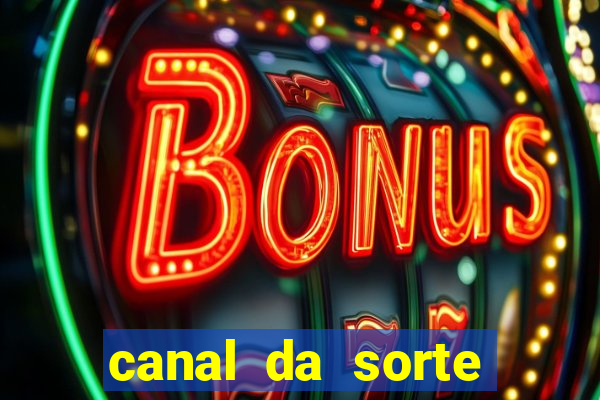 canal da sorte bingo de hoje