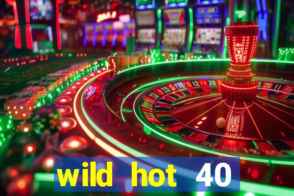 wild hot 40 christmas slot