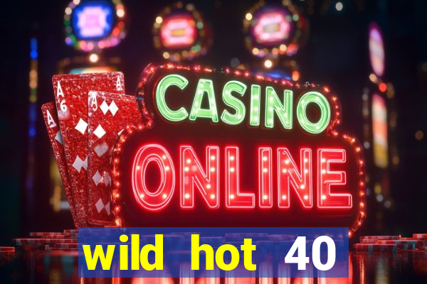 wild hot 40 christmas slot