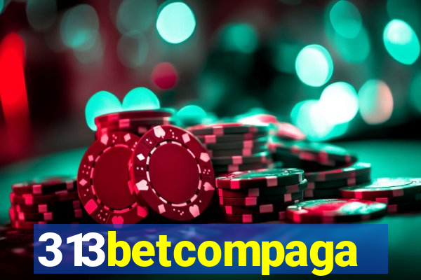 313betcompaga