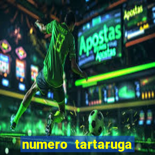 numero tartaruga jogo do bicho