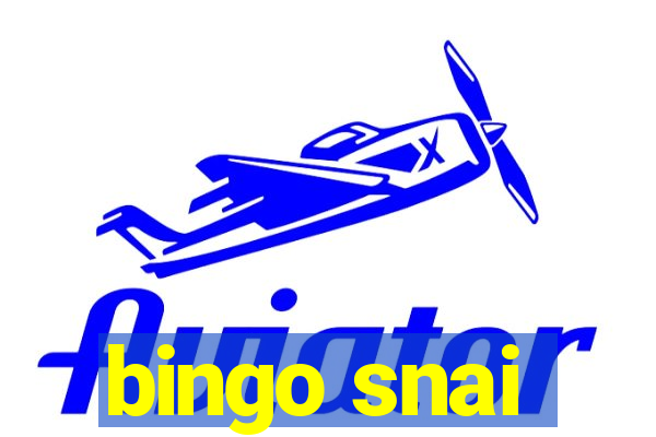 bingo snai