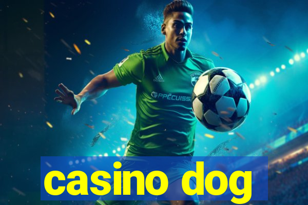 casino dog