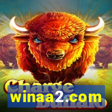 winaa2.com