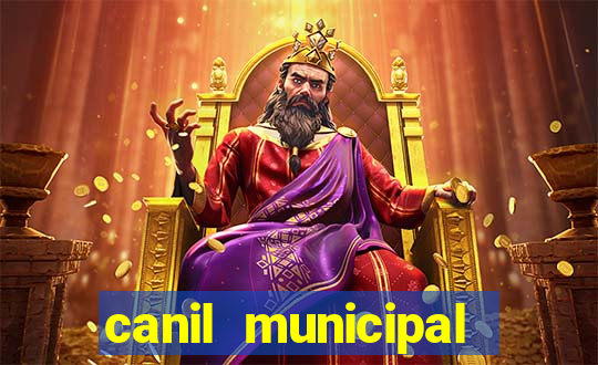 canil municipal porto alegre