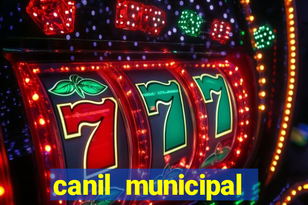 canil municipal porto alegre