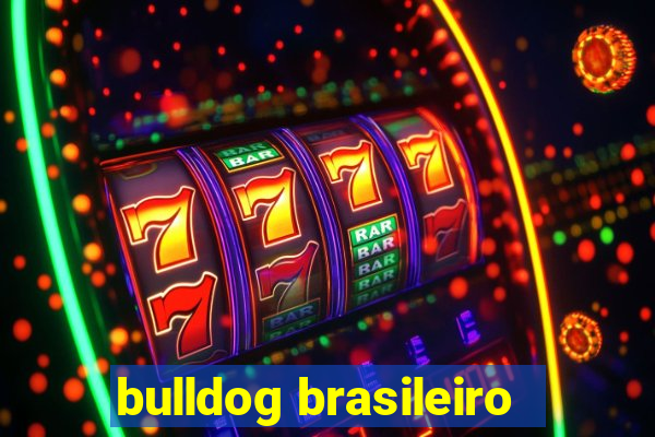 bulldog brasileiro