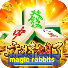 magic rabbits