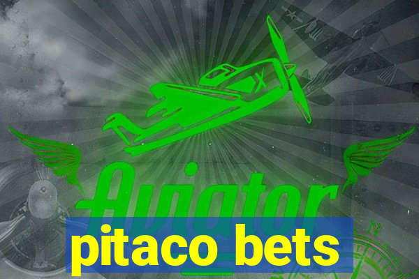 pitaco bets