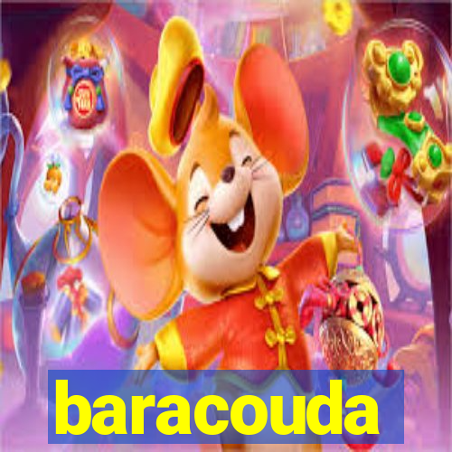 baracouda