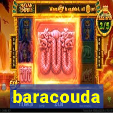 baracouda