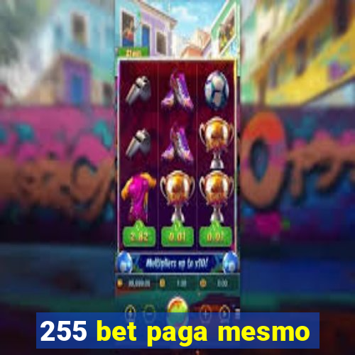 255 bet paga mesmo