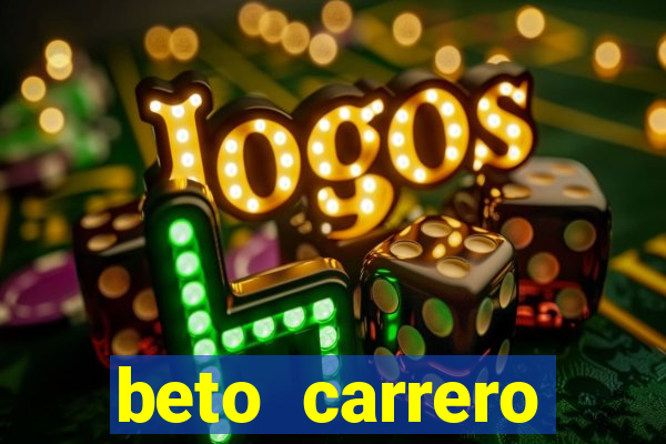 beto carrero cidades proximas