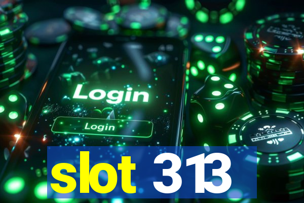 slot 313