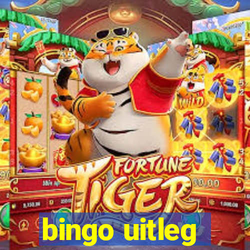 bingo uitleg