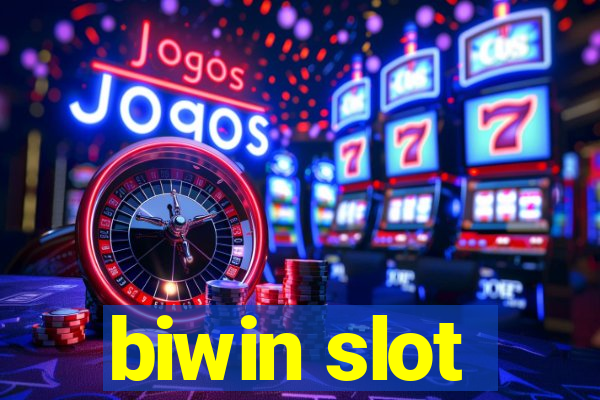 biwin slot